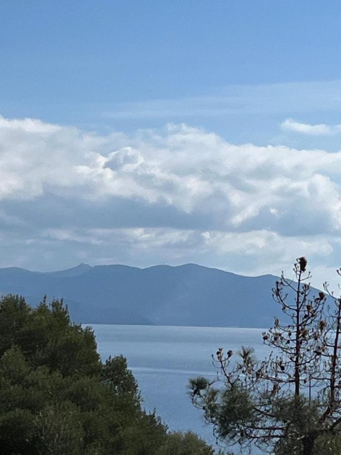 Malamo Daire Ampelo Dış mekan fotoğraf