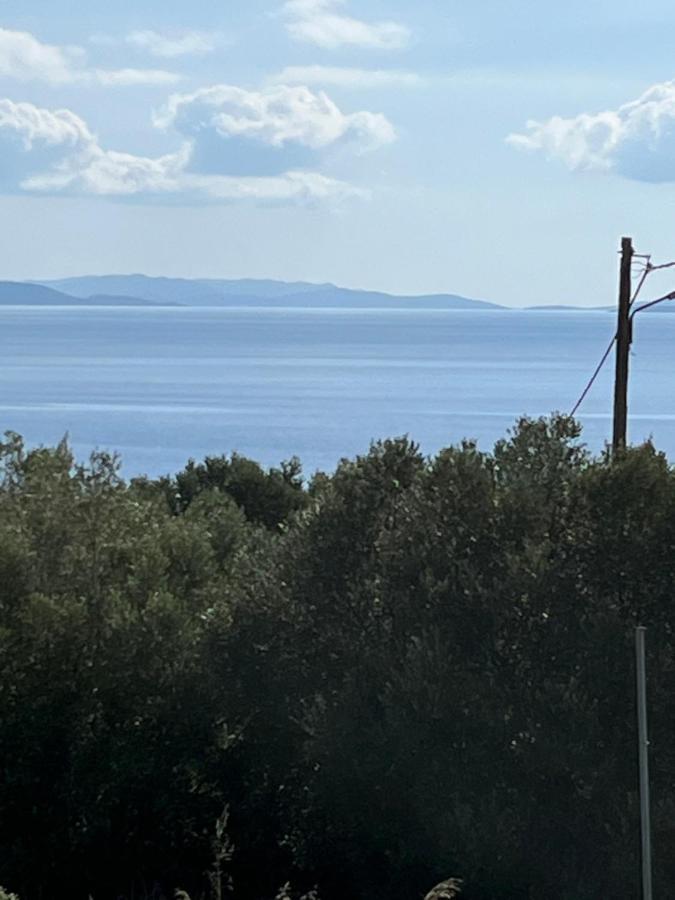 Malamo Daire Ampelo Dış mekan fotoğraf