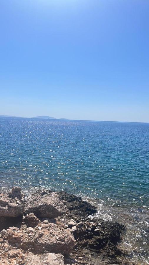 Malamo Daire Ampelo Dış mekan fotoğraf